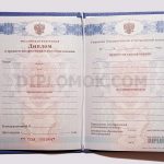 диплом спо 2011-2013